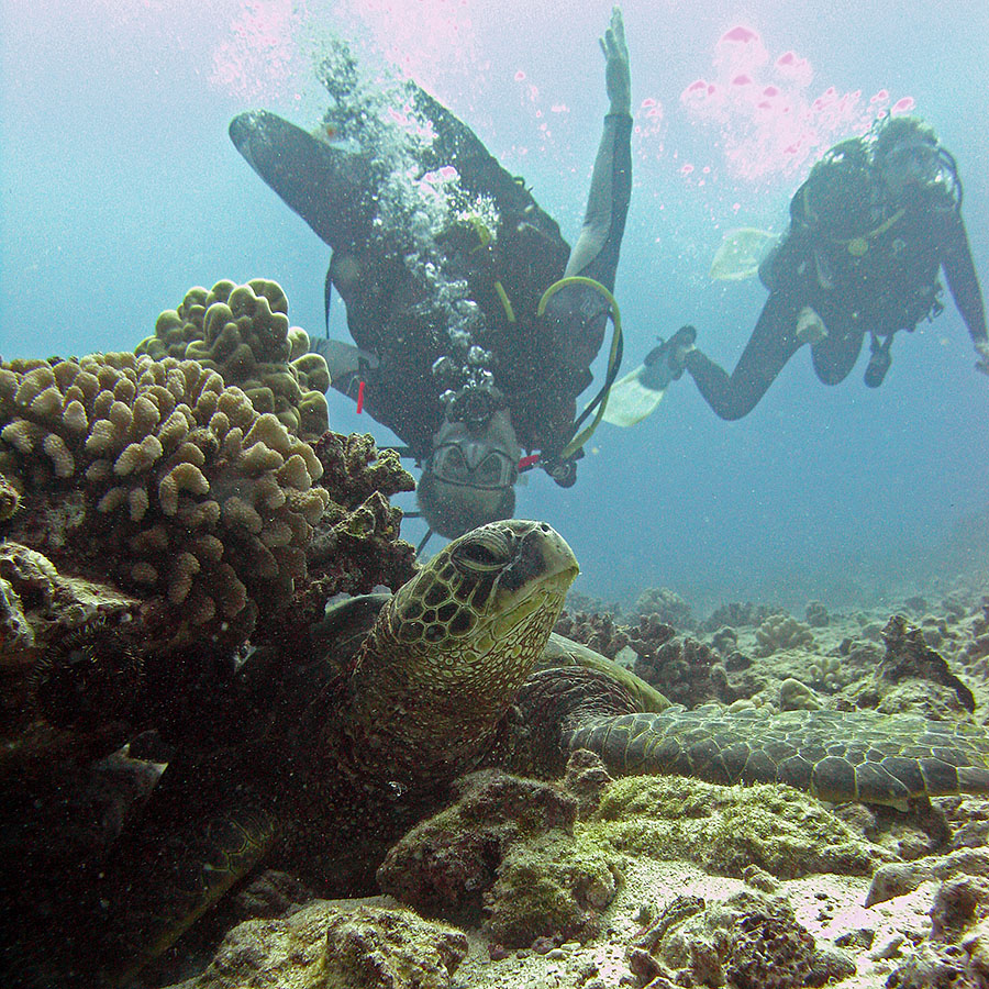 kailua hawaii scuba 1