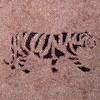 tiger mosaic tile