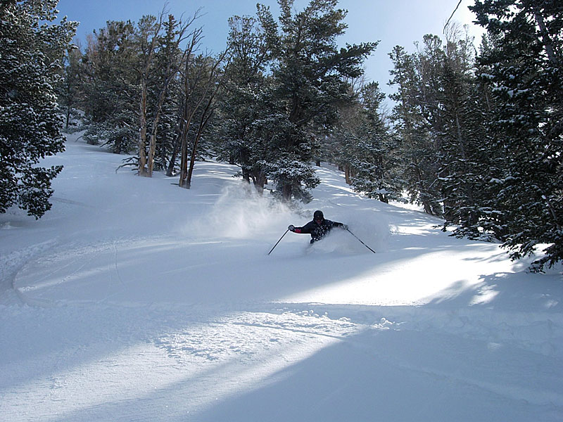 snowbird powder