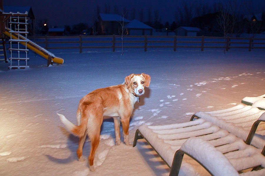 solitude utah 2009 dusty 1