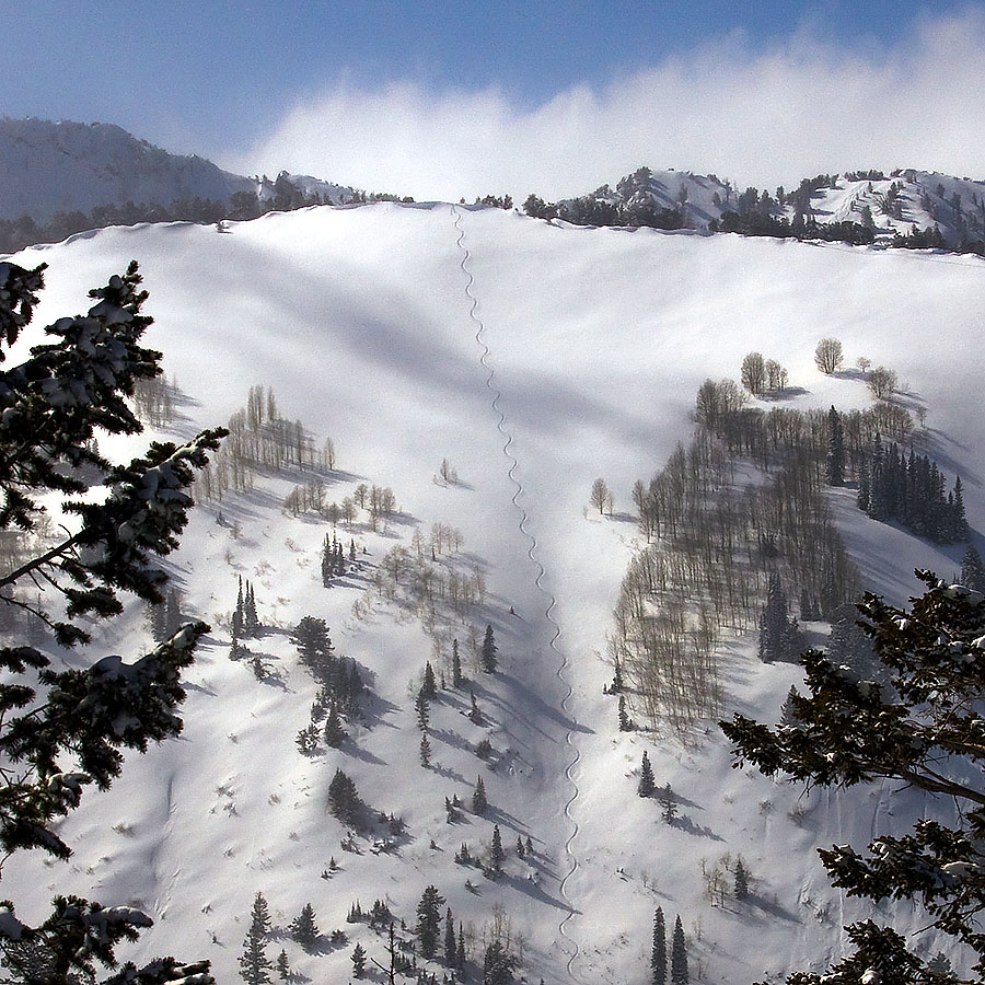 solitude utah 2009 fresh tracks