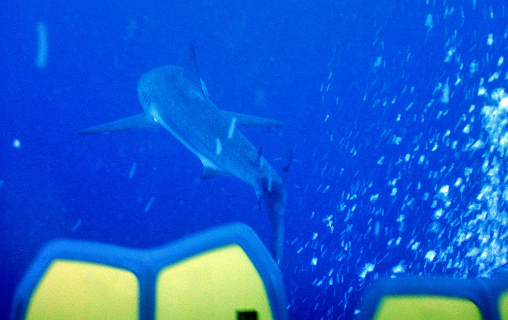 Belize Scuba Diving a1