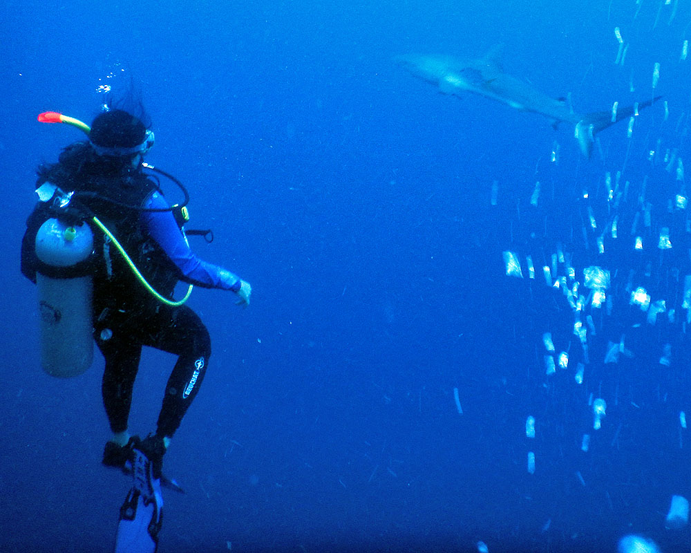 Belize Scuba Diving a1